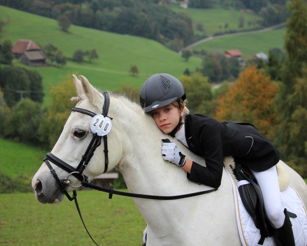 broodmare Brandstatthof's Tiffany (Welsh-Pony (Section B), 2000, from Bonsay)