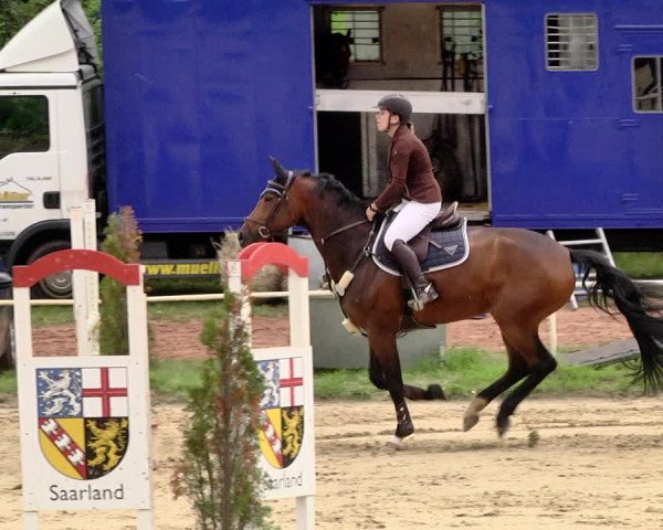 Reitturnier Heiligenwald 2021