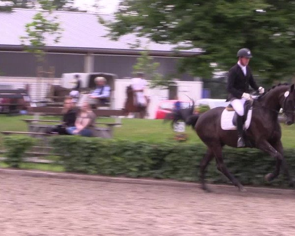 Reitturnier Olfen-Vinnum 2021