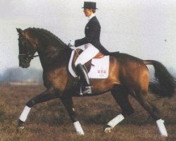 broodmare Unette (KWPN (Royal Dutch Sporthorse), 1978, from Cadmus xx)