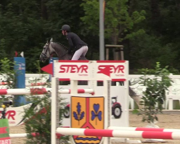 Reitturnier Ladelund 2021