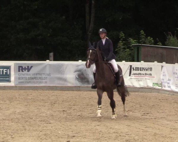 Reitturnier Ladelund 2021
