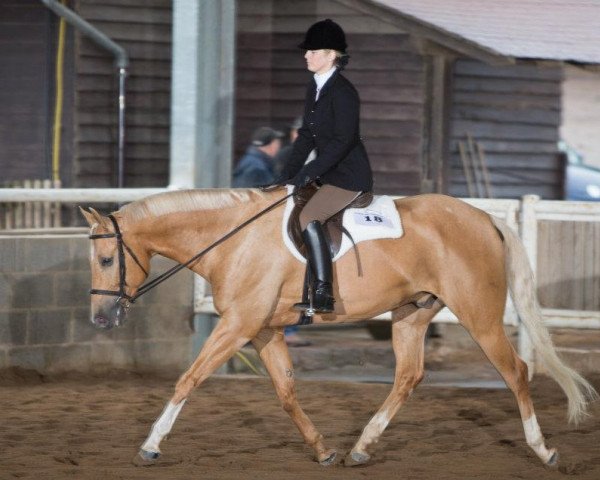 Pferd Jacs Lightning Storm (Quarter Horse, 2005, von Macs Lucky Man)