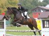 dressage horse Scharnhorst 14 (German Sport Horse, 2005, from Saccor)