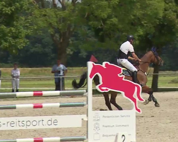 Reitturnier Rot am See – Musdorf 2021