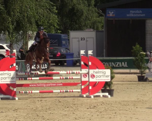 Reitturnier Olfen-Vinnum 2021