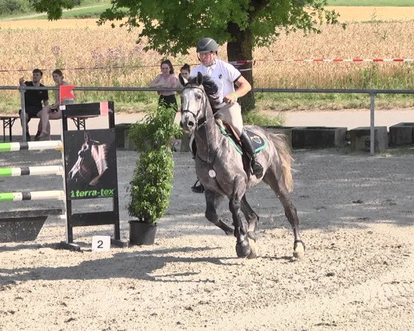 Reitturnier Ehningen 2021