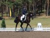 dressage horse Alive S (German Sport Horse, 2009, from Aljano)