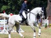 jumper Levico S (German Sport Horse, 2003, from Levisto Z)