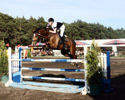 jumper Pit-Stop (German Sport Horse, 2005, from Pessoa VDL)