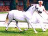 Zuchtstute Polaris Campion (Welsh Mountain Pony (Sek.A), 1981, von Coed Coch Gethin)