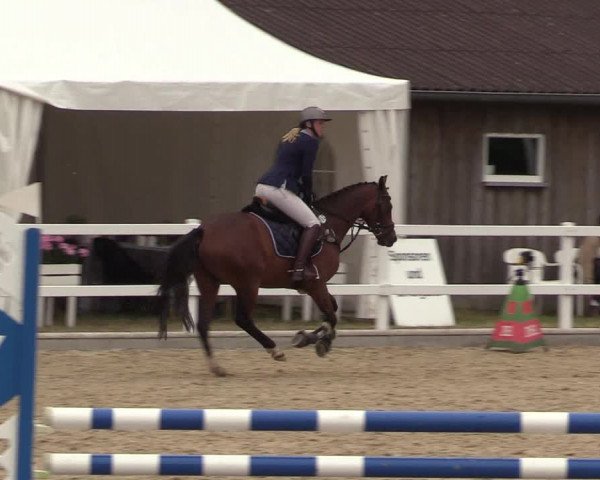 Reitturnier Ladelund 2021