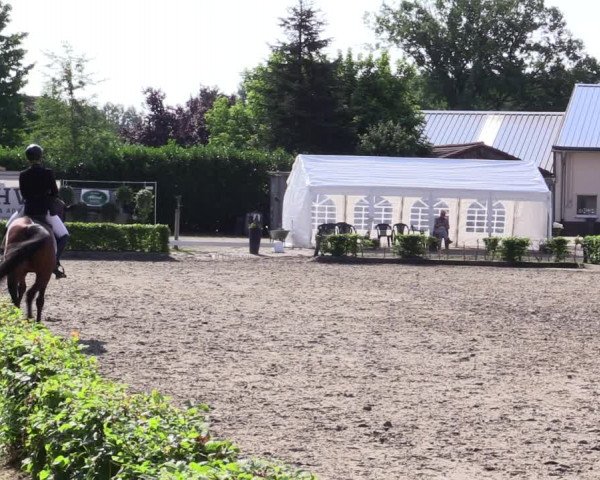 Reitturnier Olfen-Vinnum 2021