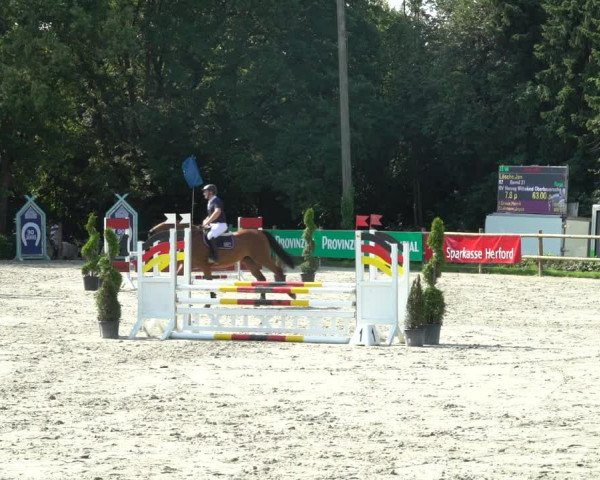 Reitturnier Vlotho-Exter 2021