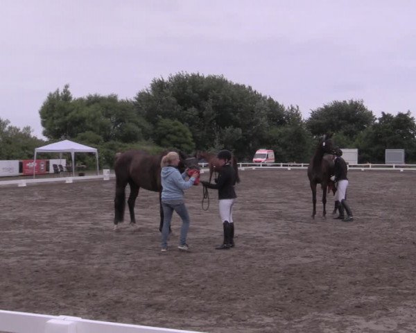Reitturnier St. Peter Ording 2021