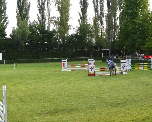 Reitturnier Westeregeln 2021