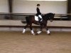 dressage horse Duke of summer (Hanoverian, 2005, from Di Caprio)