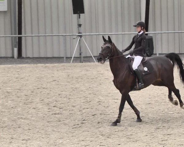 Reitturnier Ehningen 2021
