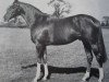 stallion High Hat xx (Thoroughbred, 1957, from Hyperion xx)