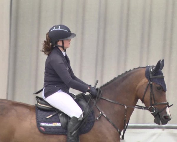 Reitturnier Ehningen 2021