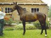 broodmare Esprit (KWPN (Royal Dutch Sporthorse), 1986, from Zirkoon)