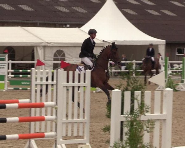Reitturnier Ladelund 2021