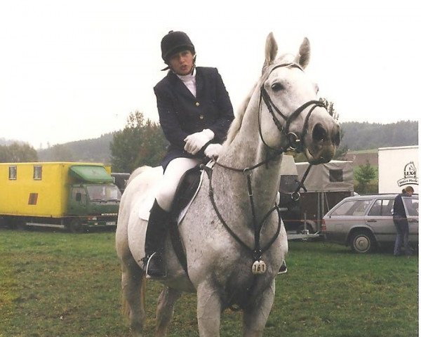 stallion Liverpool (Hanoverian, 1986, from Lemon xx)