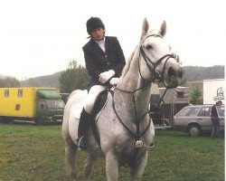 stallion Liverpool (Hanoverian, 1986, from Lemon xx)