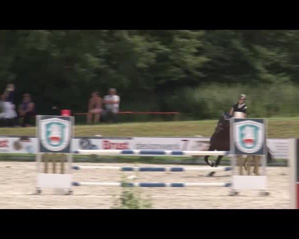 Reitturnier Grafenrheinfeld/Ufr. 2021