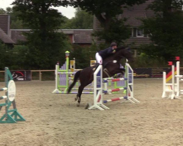 Reitturnier Kropp 2021