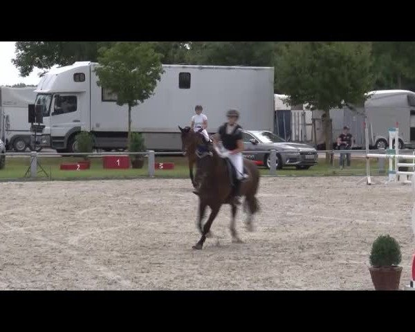 Reitturnier Grafenrheinfeld/Ufr. 2021