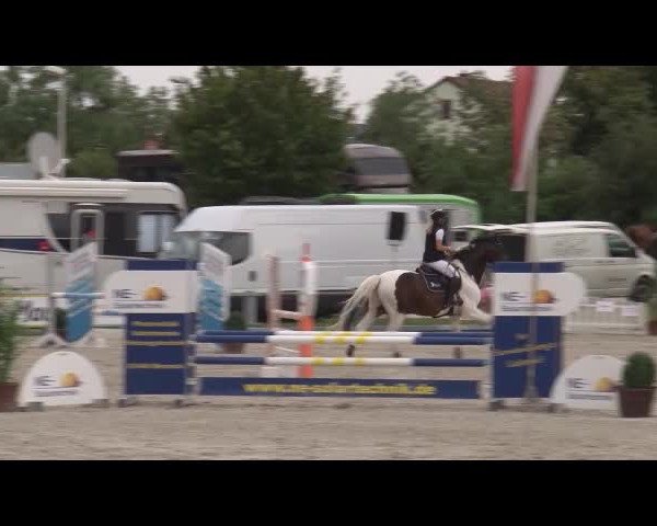 Reitturnier Grafenrheinfeld/Ufr. 2021