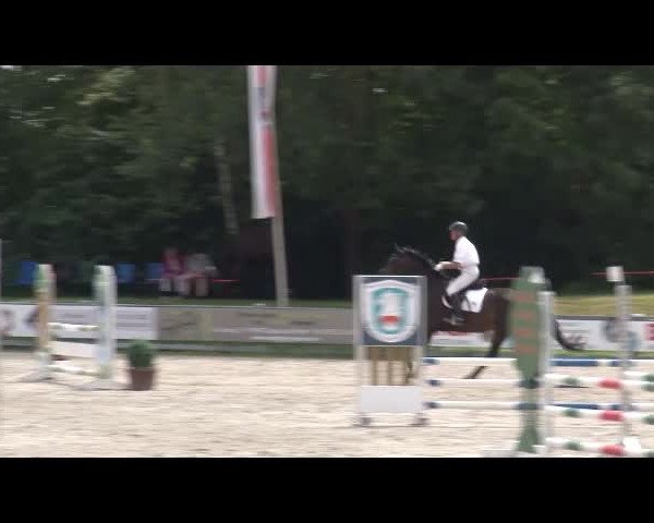 Reitturnier Grafenrheinfeld/Ufr. 2021