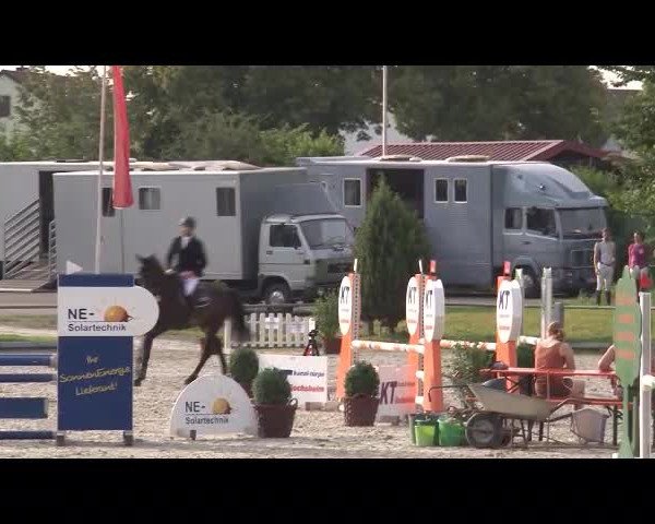 Reitturnier Grafenrheinfeld/Ufr. 2021