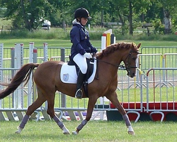 Pferd Leuns Veld's Lizzy (Nederlands Welsh Ridepony, 1996, von Speyksbosch Nando)