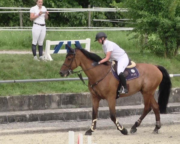 Reitturnier Ehningen 2021