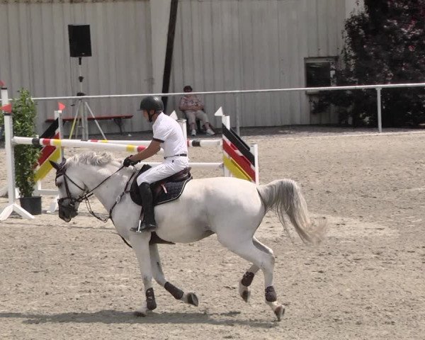 Reitturnier Ehningen 2021