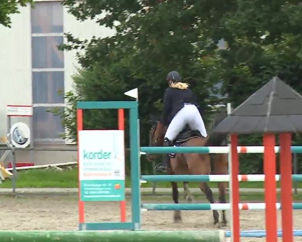 Reitturnier Rot am See – Musdorf 2021