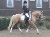 dressage horse Cupido (German Riding Pony, 2009, from Top Champy)