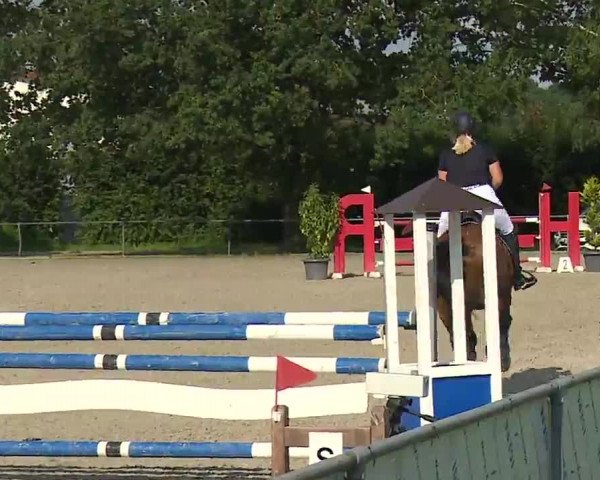 Reitturnier Rot am See – Musdorf 2021