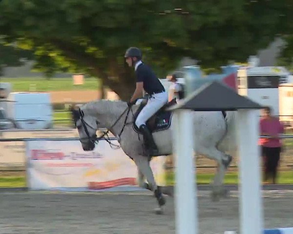 Reitturnier Rot am See – Musdorf 2021