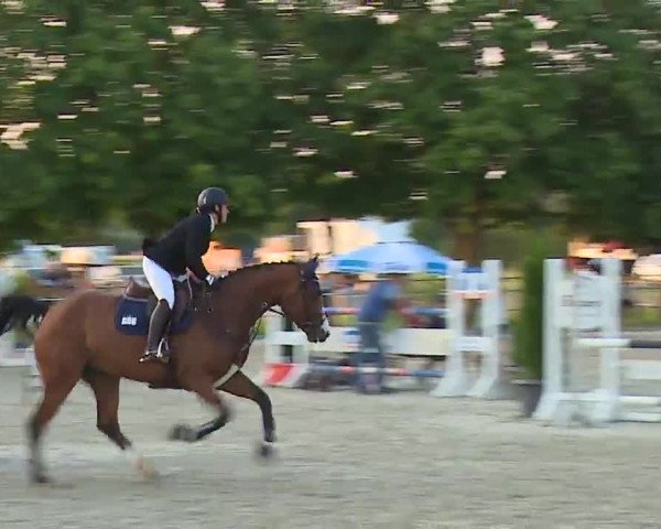 Reitturnier Rot am See – Musdorf 2021