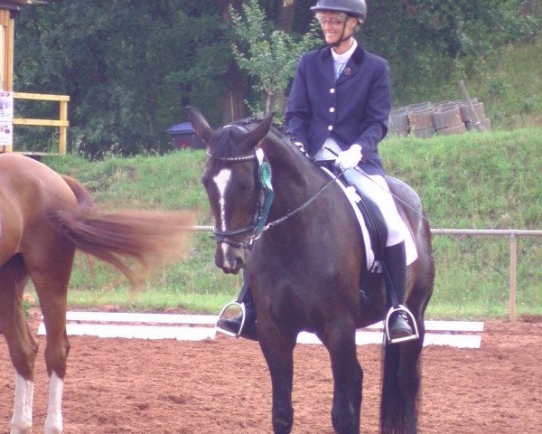 broodmare Gladdys 26 (Zweibrücken, 2002, from Glorieux)