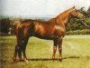 stallion Anno xx (Thoroughbred, 1979, from Lombard xx)