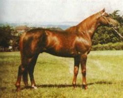 stallion Anno xx (Thoroughbred, 1979, from Lombard xx)