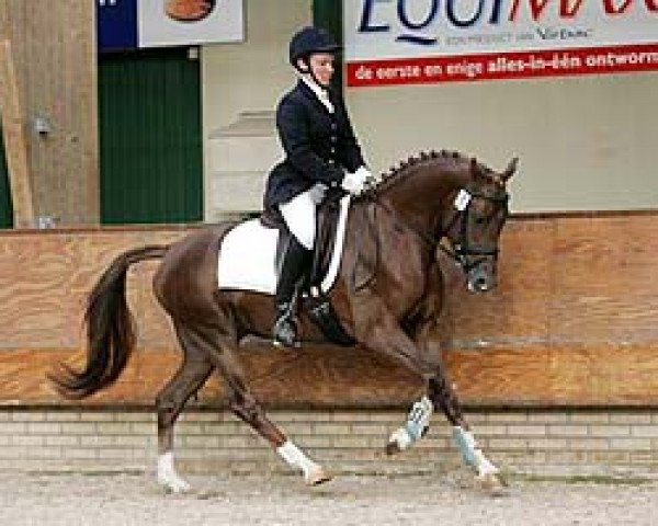horse Irakion (Dutch Pony, 2003, from Ismar)