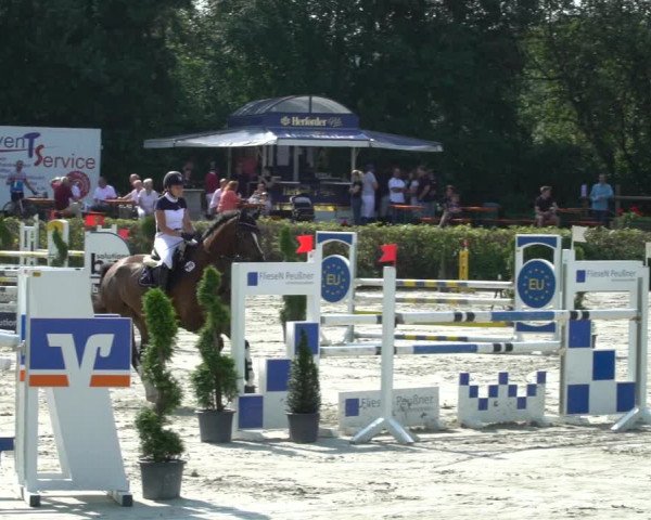 Reitturnier Vlotho-Exter 2021