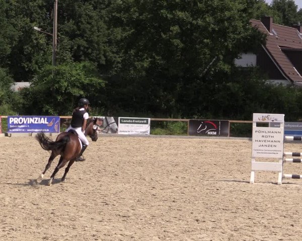 Reitturnier Kropp 2021