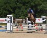 jumper Virginia 233 (German Riding Pony, 2015, from FS Pontiac)