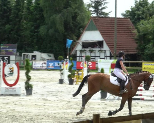 Reitturnier Vlotho-Exter 2021